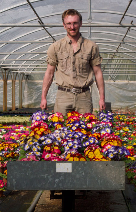Bronte Peat Free Compost